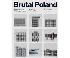 KNYGA David Navarro Brutal Poland
