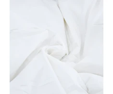 2-in-1 Antklodė Balta 200 x 220 cm Plunksna
