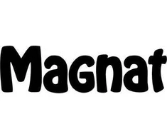 Magnat Monitorius S80 ATM
