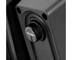 Garsiakalbiai SVEN 300 USB (juoda)