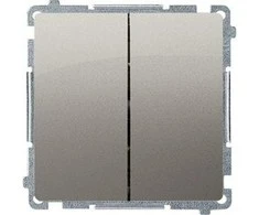 Kontakt-Simon Simon Basic dvivietis 10AX 250V satinas (BMW5.01 / 29)