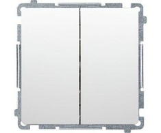 Kontakt Simon ŽVAKĖS JUNGIKLIS 16AX, 250V BASIC