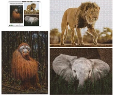 Dėlionė Krups Ambassador Wildlife 3x1000 Pieces (Donal Boyd)