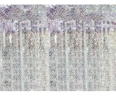 PartyDeco Holografinė vakarėlio užuolaida 100x200cm