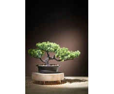 MICA BONSAI ARTIFICIAL IN A POT 33X21CM