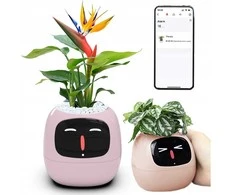 Kwiatydonice PlantsIO gebenė rožinė
