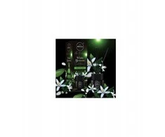 La Casa de los Aromas Namų kvapas Aroma Home Juodas Series Sticks 100ml "Baltas Blossom"