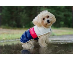 PCHEŁKA Rocco Baltas-Rožinė-Violetinė - dog clothing - size XS