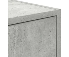Laikiklis Betono pilkos spalvos televizoriaus spintelė, 80x31x25,5 cm, klijuota mediena