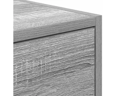 Laikiklis Pilka Sonoma televizoriaus spintelė 60x31x25,5 cm Klijuota mediena
