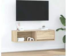 Laikiklis Sonoma ąžuolo TV spintelė 100x31x25,5 cm Klijuota mediena