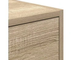 Laikiklis Sonoma ąžuolo TV spintelė 60x31x25,5 cm Klijuota mediena