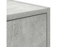 Laikiklis TV spintelė, betono pilka, 100x31x25,5 cm, klijuota mediena