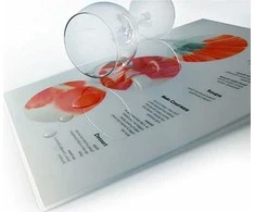 Eurosupplies Laminavimo folija, 60 x 95mm, 80mic, antistatinė, rankovės, 100vnt