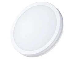 Lubinis šviestuvas Visional LED waterproof luminaire with PIR, 40W, 3CCT, 4800Lm, IP65, Ø 400x55mm