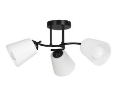 Pakabinamas šviestuvas Activejet pendant lamp AJE-ALMA 3P E27 3x40W