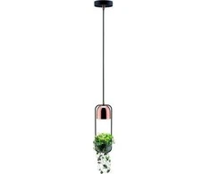 Paulmann Pakabinamas šviestuvas Neordic Fanja pakabinamas šviestuvas 1x20W GU10 Juodas/Copper 230V Metall PL79749