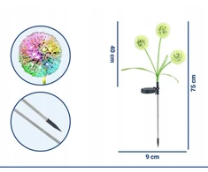 Maximex Solar garden lights, LED dandelions, 2 pieces, 75 cm