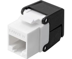 Lanview 5e katė Beskeveldris verpstris
