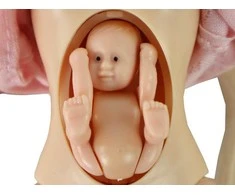 Lean Toys Lėlė su besilaukiančia mama ir tėčiu Kevin ir Lucy