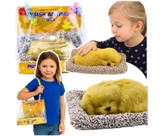 Lean Toys Miegantis Labradoro Šuniukas Ant Pagalvės Su Krepšiu