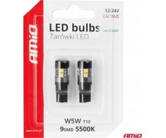 LED lemputės Canbus T10 W5W 9 SMD 3030 baltos 12V 24V amio-04241