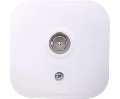 Legrand Televizijos lizdas (TV), baltas - 782415