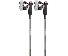LEKI LAZDELĖS 3D ANGLIES PLOMBYRAGĖLĖS 12 135