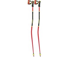 Leki LEKI WCR TBS GS 3D 120 LAIDOS