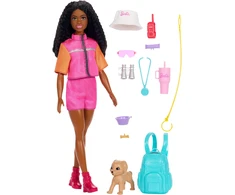 Lėlė Barbie Mattel Barbie Brooklyn JJV60 (WB4)
