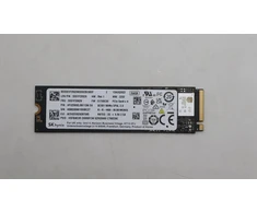 Lenovo 256 GB M.2 2280 PCIe 4.0 x4 SSD