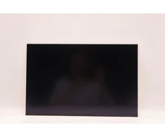 Lenovo DISPLAY AUO 16.0 WUXGA IPS AG diskas