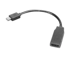 AV adapteris Lenovo Rodyti Port mini - HDMI juoda (0B47089)