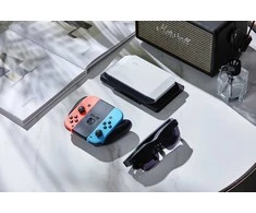 Rayneo Joydock prijungimo stotis