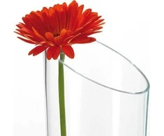 Leonardo Vase 40 Dinaminis