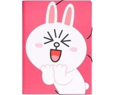 Bt21 LINIJAS DRAUGAI – aplankas Cony (24 x 34 cm)