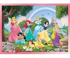 Dėlionė Lisciani Dvišalis Puzzle Plius 24 Princesės