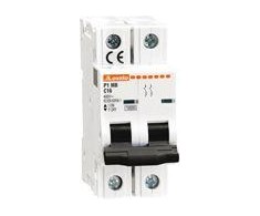 Lovato Electric 2P C 2A 10kA (P1MB2PC02)