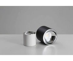 Lubinis šviestuvas Blaupunkt ROLLER DLW10, metalinis lubinis šviestuvas, LED įleidžiamas šviestuvas, 10 W, 4000 K, baltas vamzdelis