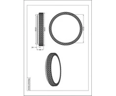 Lubinis šviestuvas REALITY PEGASUS R62422100, 21 W, LED