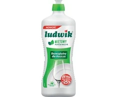 Blow Mėtų indų plovimo skystis 900g LUDWIK