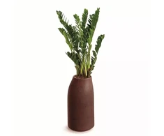 Lumarko Prosperplast FLOWERPOT PLAST EPOCCO MILD TEP38M-220R