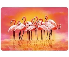 Newill Placemat 43.5x28cm flamingo