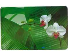 Asi Collection padėkliukas 43,5x28cm orchidėja