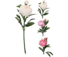 Mondex Dirbtinė gėlė PEONY, 3 spalvos, 17 cm