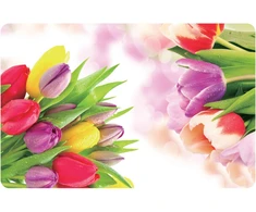 Asi Collection Galda paliktnis 43 5x28cm tulpe 8032636660107 8032636660107 (8032636660107)