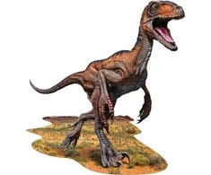 MADD CAPP, Dėlionė „AŠ ESU RAPTORIUS“ - 100 elementų.