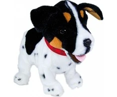 Madej Interaktyvus talismanas Figo šuo reaguoja į Jack Russell Terrier komandas