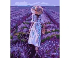 Paveikslas skaičiais - Levandų laukas 40x50cm