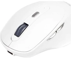 Marvo Pelė WM106W WH pelė, 1600DPI, Bluetooth a 2,4GHz, optinė, 6 klasė, bevielė, balta, įmontuota baterija, biuro, tyli, DUA